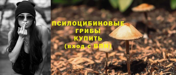 ПСИЛОЦИБИНОВЫЕ ГРИБЫ Лихославль