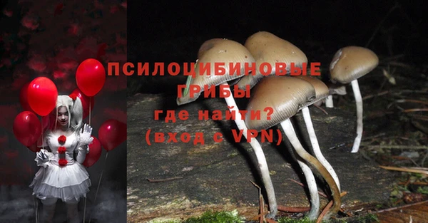 ПСИЛОЦИБИНОВЫЕ ГРИБЫ Лихославль